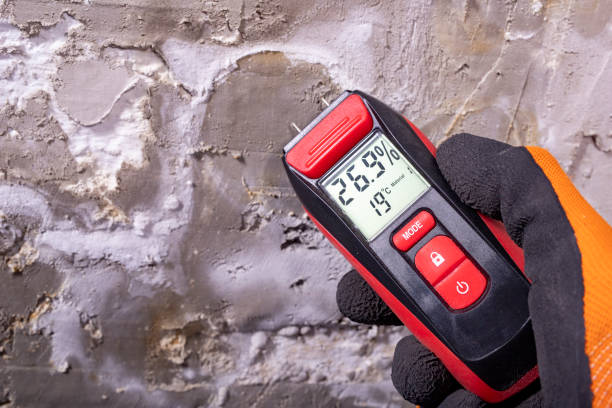 Best Mold Testing  in Rosharon, TX