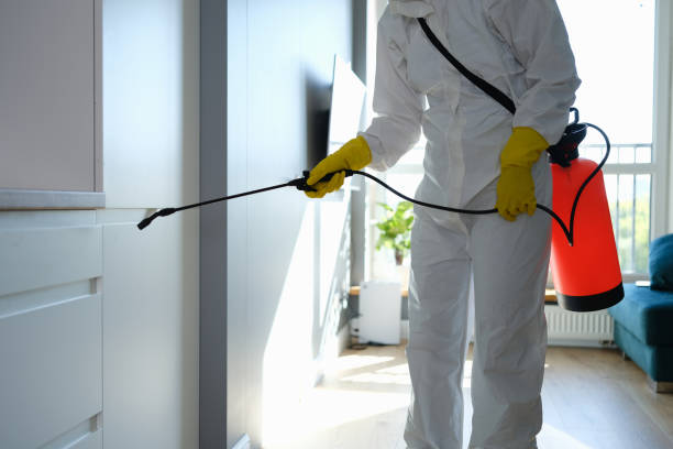 Best Certified Mold Removal  in Rosharon, TX