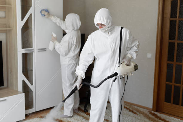 Best Commercial Mold Removal  in Rosharon, TX