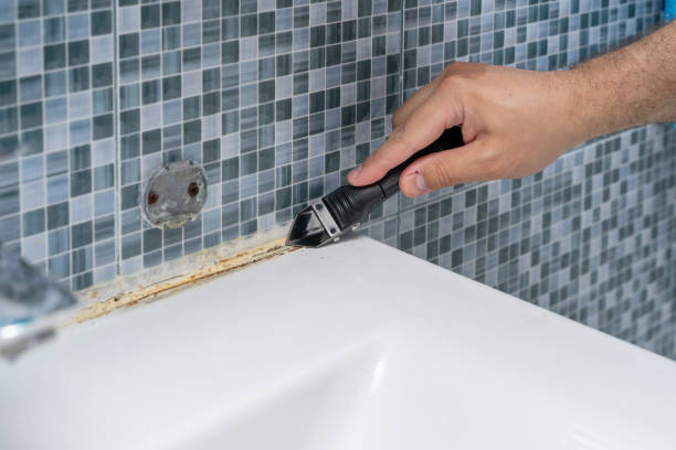 Mold Testing and Removal in Rosharon, TX