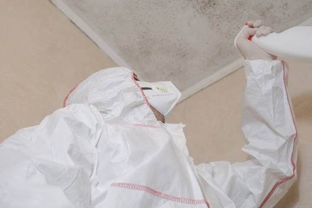 Crawl Space Mold Removal in Rosharon, TX