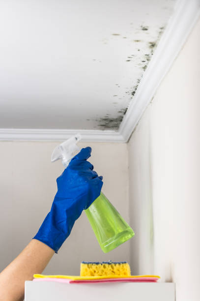 Best Crawl Space Mold Removal  in Rosharon, TX